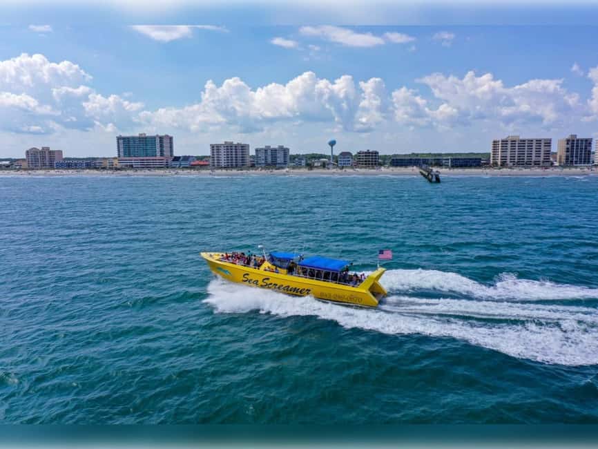 Myrtle Beach: Dolphin Cruise on the Sea Screamer - Should you book the Sea Screamer dolphin cruise?