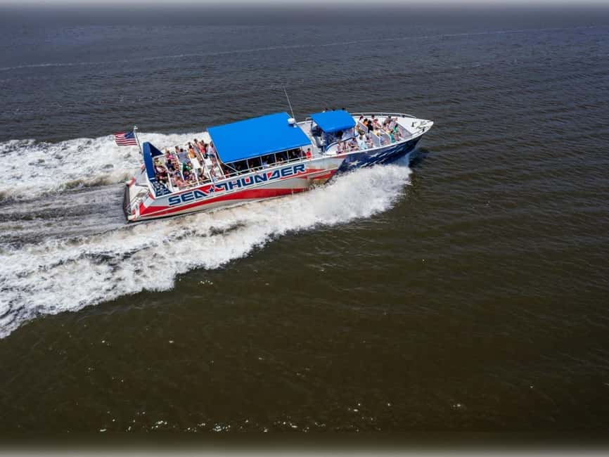 Myrtle Beach: Dolphin Cruise on the Sea Thunder - Dolphin watching is exciting, but never certain