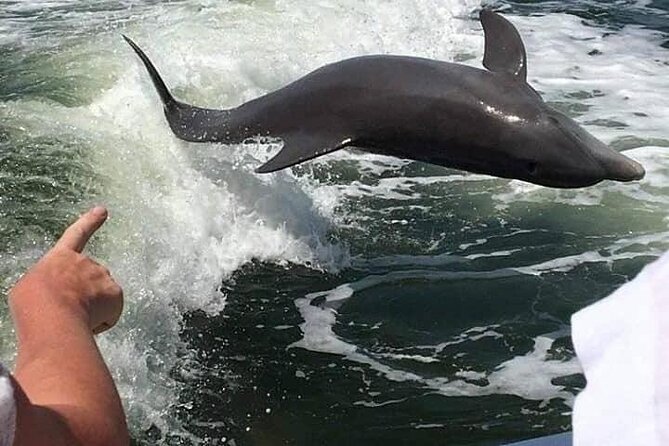Myrtle Beach Dolphin Cruise - Calabash, the seafood town near the border