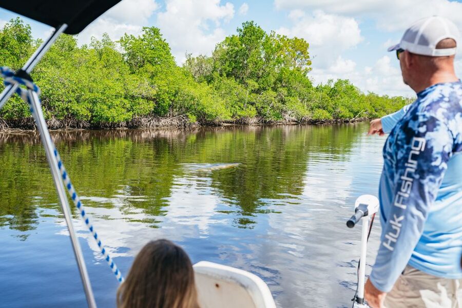 Naples, FL: Manatee, Dolphin, 10,000 Islands Beach Eco Tour - Should you book the Ten Thousand Islands cruise?