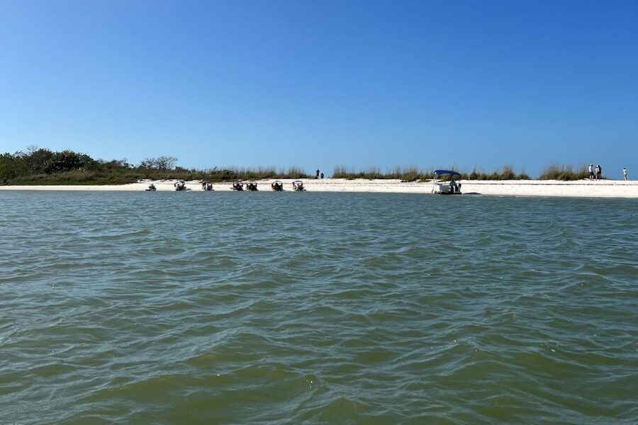 Naples, FL: Manatee, Dolphin, 10,000 Islands Beach Eco Tour - Timing, weather, and comfort