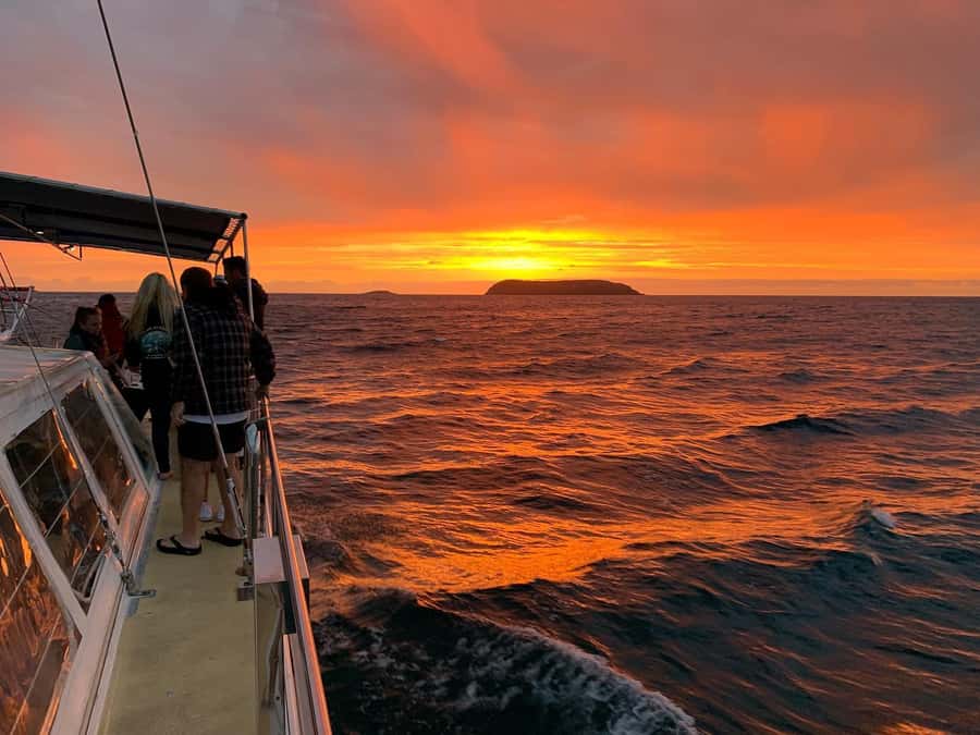 Nelson Bay: Whale and Dolphin Watching Catamaran Cruise - Who Will Enjoy This Cruise Most
