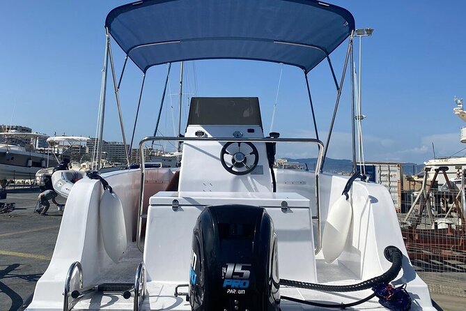 New 2025!! Unlicensed boat for dolphin watching - Dolphin watching and sunfish spotting