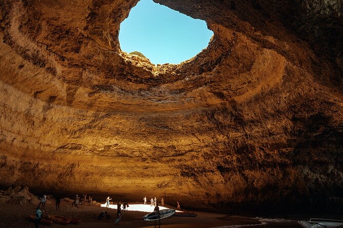 NEW Lagos-Watching Dolphins and Benagil Cave with Biologists - Who will enjoy this outing most?