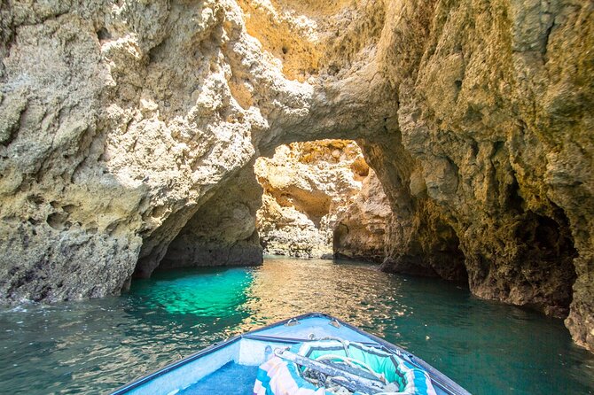NEW Lagos-Watching Dolphins and Benagil Cave with Biologists - How to prepare for the best day