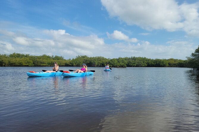New Smyrna Dolphin and Manatee Kayak and SUP Adventure Tour - Starting at DiVito Park in New Smyrna Beach