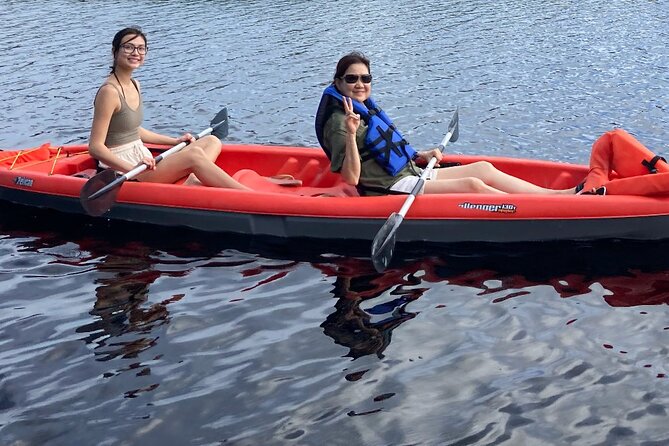 New Smyrna Dolphin and Manatee Kayak and SUP Adventure Tour - Birds, fish, turtles, and smaller discoveries