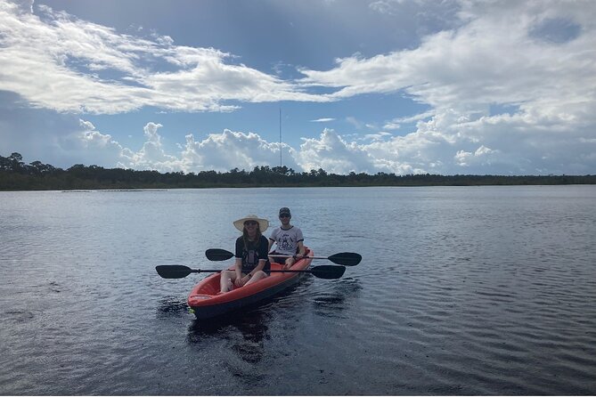 New Smyrna Dolphin and Manatee Kayak and SUP Adventure Tour - Guides who add more than directions