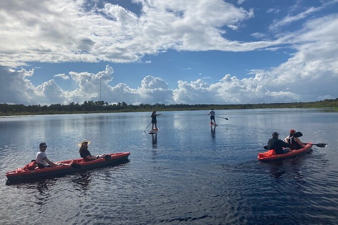 New Smyrna Dolphin and Manatee Kayak and SUP Adventure Tour - The first strokes are easy for beginners