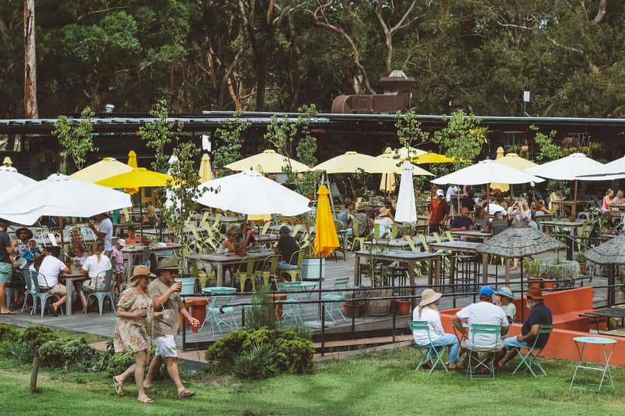 Newcastle: Port Stephens day tour. Dolphins, hike, swim. - Who should book this Port Stephens day?