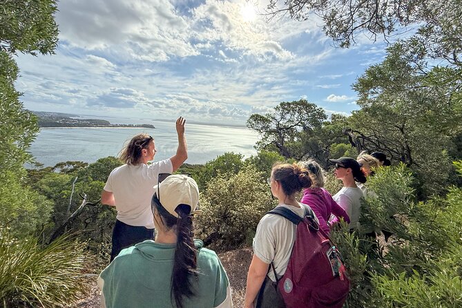 Newcastle: Port Stephens day tour - Dolphins, hike & swim! - What the $172.14 price really covers