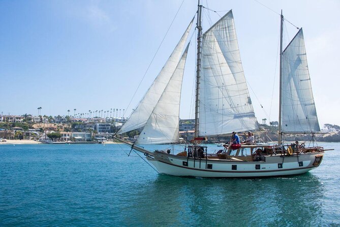Newport Beach Whale and Dolphin Watching Cruise - Key points to know before booking