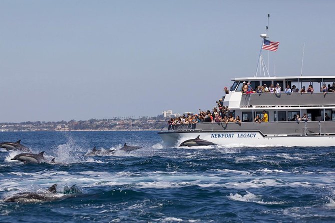 Newport Beach Whale and Dolphin Watching Cruise - Timing, Comfort, and Family Fit