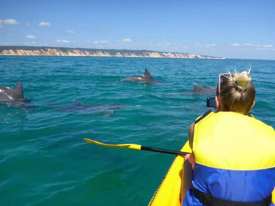 Noosa: Epic Ocean Kayak with Dolphins & 4WD Beach Adventure - Why this Noosa day feels different