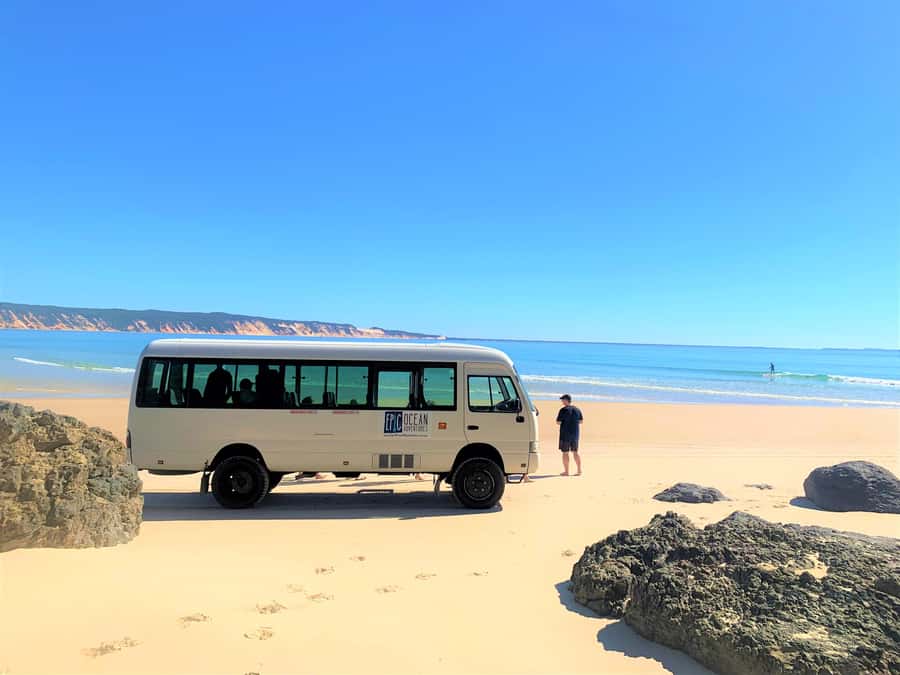 Noosa: Epic Ocean Kayak with Dolphins & 4WD Beach Adventure - Launching near Double Island Point and Honeymoon Bay