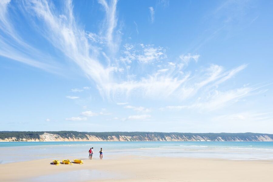Noosa: Epic Ocean Kayak with Dolphins & 4WD Beach Adventure - Looking for dolphins, turtles, and whales