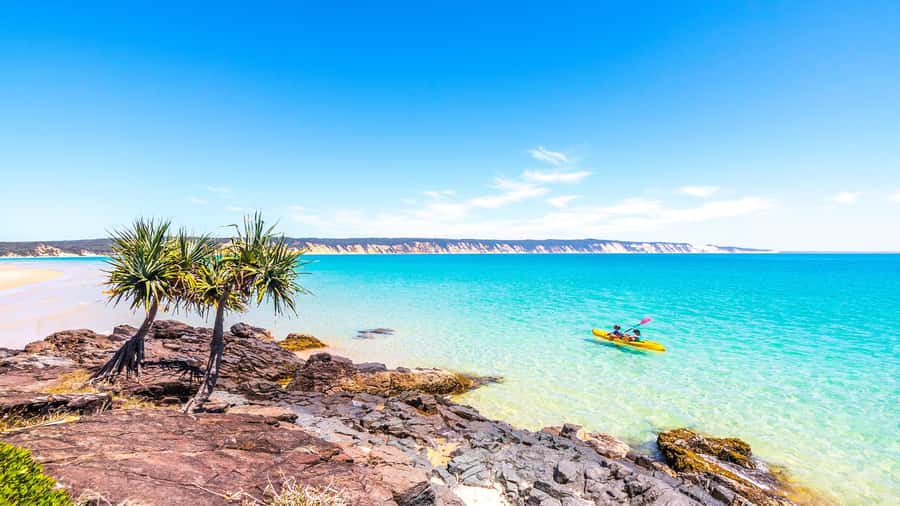 Noosa: Epic Ocean Kayak with Dolphins & 4WD Beach Adventure - Guides who make the six hours work
