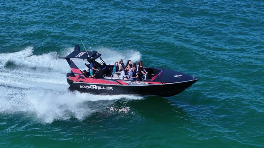 Noosa: Noosa Ocean Adventure with Dolphin Watching - The best reason to take the boat out