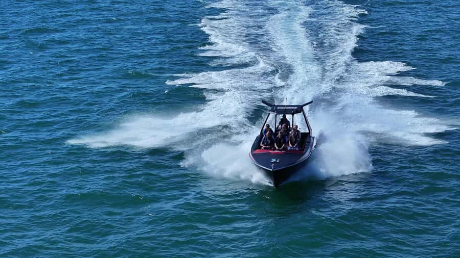 Noosa: Noosa Ocean Adventure with Dolphin Watching - Meeting the crew and preparing in Noosaville