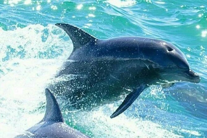 Noosa Ocean adventure & Dolphin Safari. - Hell’s Gate and the Fairy Pools