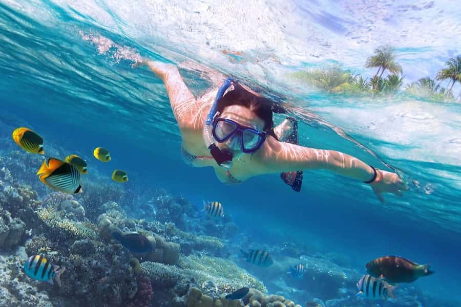 North Bali: Dolphin, Ulun Danu Temple, & Banyumala Waterfall - Snorkeling over coral after the dolphin search