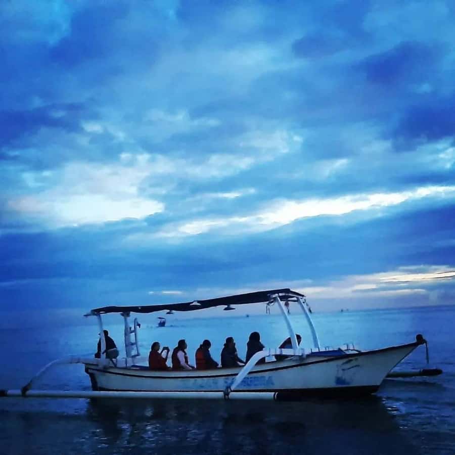 North Bali : Sunrise Dolphin Trip at Lovina Beach - Key points to know before booking