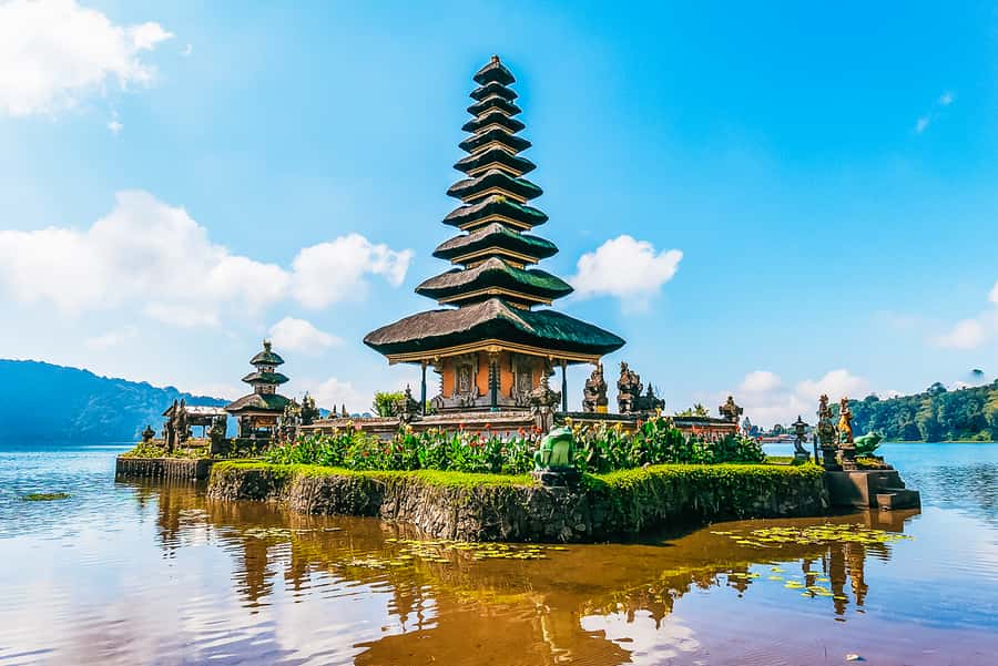 North Bali: Sunrise Tour with Dolphins, Waterfalls & Temples - Gitgit Waterfall and its forest setting