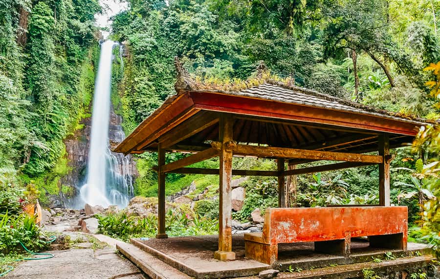 North Bali: Sunrise Tour with Dolphins, Waterfalls & Temples - Guides, drivers, and group size