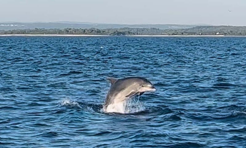 NP Brijuni Island Swimming & Dolphin Watching Sunset Cruise - Should you book the Brijuni sunset cruise?
