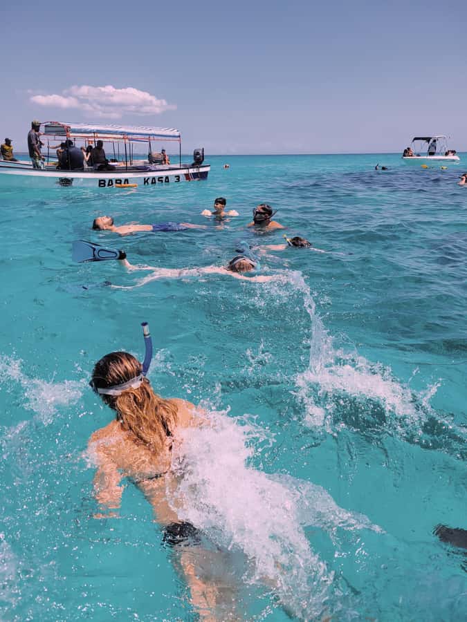Nungwi: Dolphins,snokerlling &/or sunset cruising tour - Snorkeling around Mnemba Island