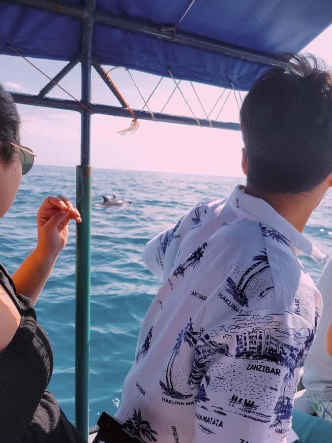 Nungwi: Dolphins,snokerlling &/or sunset cruising tour - Fresh fruit, lunch, and what the $30 covers