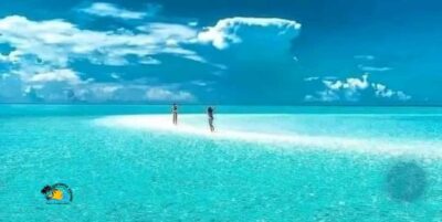 Mnemba Atoll Dolphins Tour with Snacks | Half-day