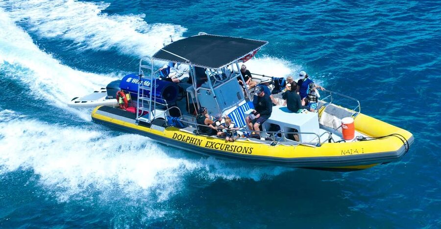 Oahu: Dolphin Swim and Turtle Snorkel Excursion in Waianae - Snorkeling with turtles and reef fish