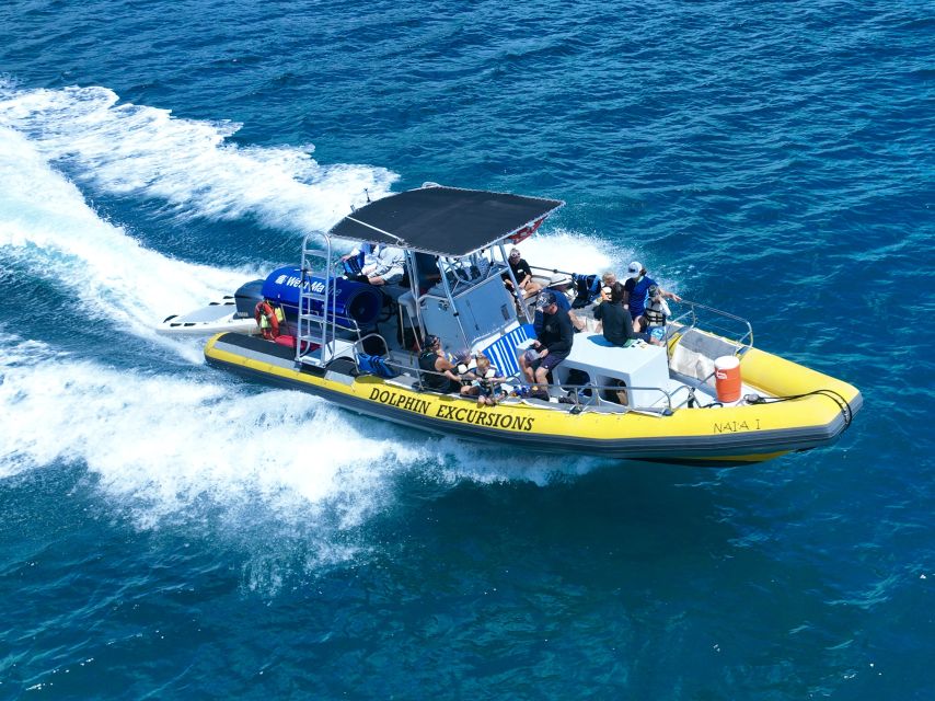 Oahu: Dolphin Swim and Turtle Snorkel Excursion in Waianae - Weather, wildlife, and your booking decision