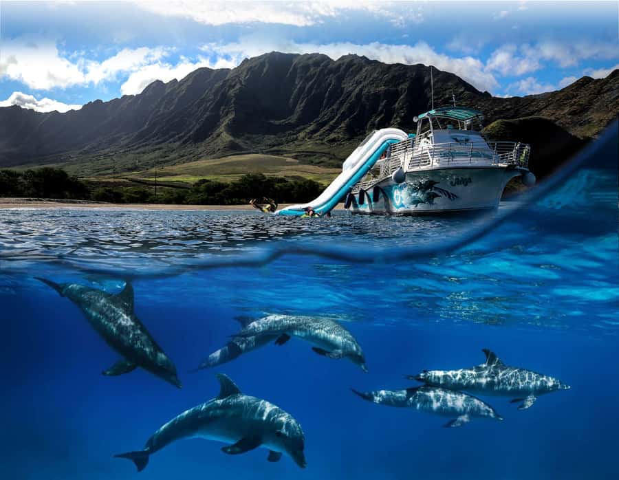 Oahu: Dolphin Watching & Turtle Snorkeling with Waterslide - Watching spinner dolphins in their natural habitat