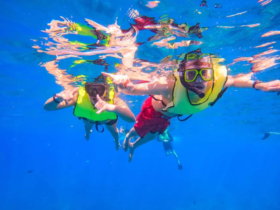 Oahu: Dolphin Watching & Turtle Snorkeling with Waterslide - Shuttle, driving, and timing advice