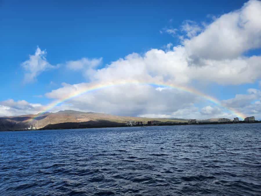 Oahu: Snorkeling & Dolphin Watch Cruise w/ Luau Style Buffet - Getting ready for the guided snorkeling stop