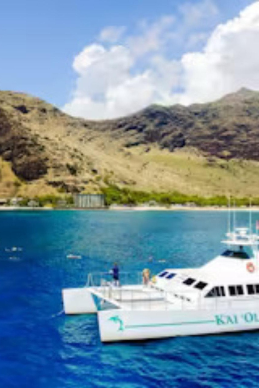 Oahu: Snorkeling & Dolphin Watch Cruise w/ Luau Style Buffet - A Hawaiian buffet on the return cruise