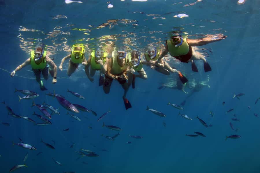 Oahu: Snorkeling & Dolphin Watch Cruise w/ Luau Style Buffet - Waikiki pickup and the time commitment