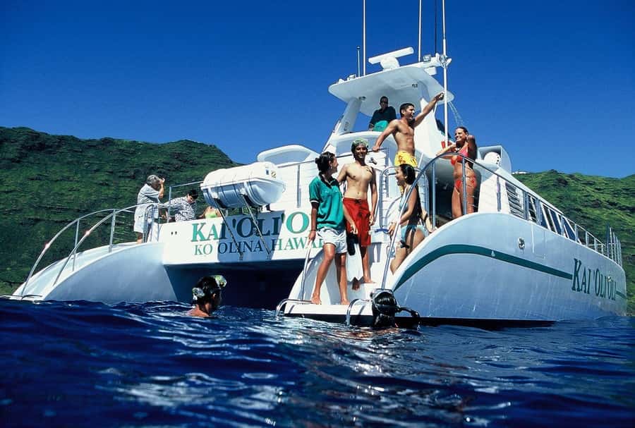 Oahu: Snorkeling & Dolphin Watch Cruise w/ Luau Style Buffet - Looking for dolphins, whales, turtles, and flying fish