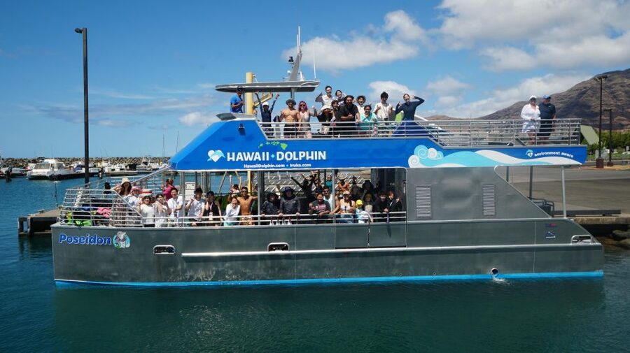 Oahu: Wild Dolphins Swim Turtle Snorkel Tour & Waterslide - Whales, weather, and what to pack