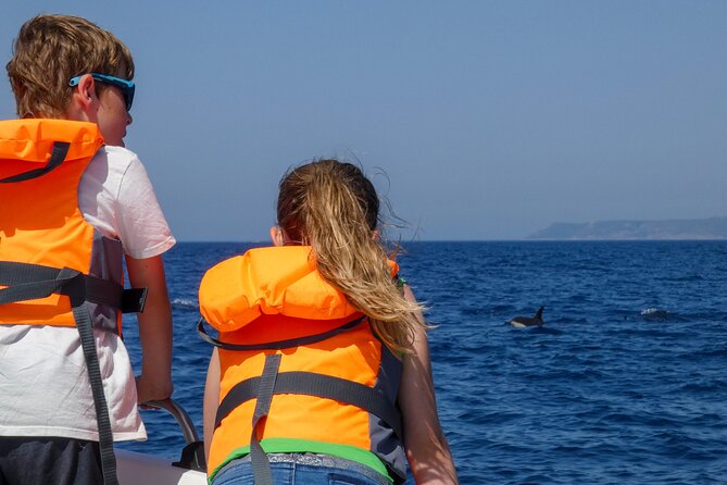 Observation of Dolphins and Whales with Marine Biologist in Arrábida - What the marine biologist adds
