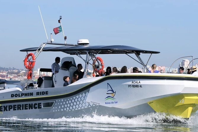 Observation of Dolphins in Setúbal - Key points before you book