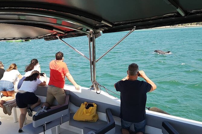 Observation of Dolphins in Setúbal - The boat ride and the search for dolphins