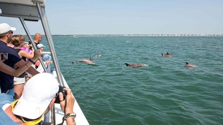 Ocean City, MD: Coastal Speedboat Tour with Dolphin Spotting - Dolphin spotting requires luck, patience, and a good lookout