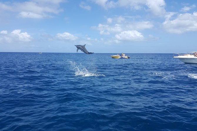 Ocean Swim with Dolphins - Who will enjoy this Mauritius boat trip