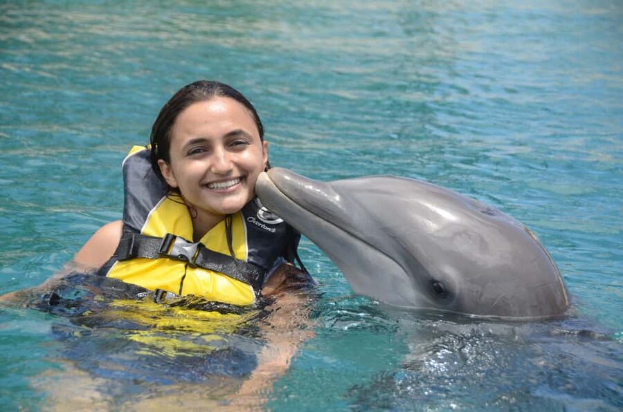 Ocean World Dolphin Swim & Sea Lion Combo from Puerto Plata - Key points to know before you book