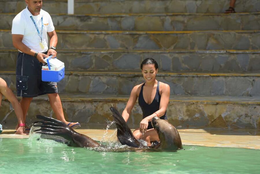 Ocean World Dolphin Swim & Sea Lion Combo from Puerto Plata - A full day at Ocean World near Cofresi Beach
