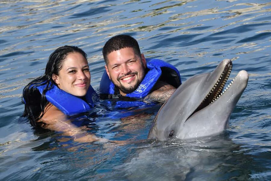 Ocean World Dolphin Swim & Sea Lion Combo from Puerto Plata - Meeting the Patagonian sea lions
