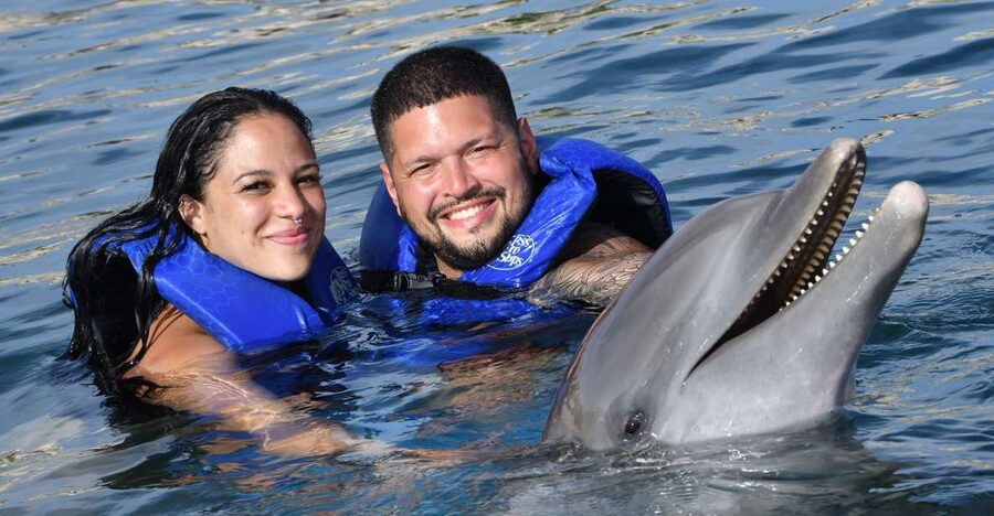 Ocean World Dolphin Swim & Sea Lion Combo from Puerto Plata - Lunch is included, but drinks are not